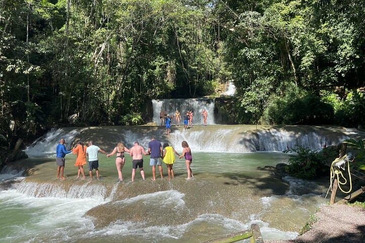 Negril Day Trip to YS Falls, Black River Safari & Pelican Bar photo 3