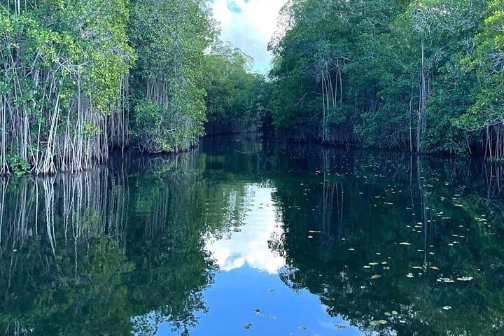 Negril Day Trip to YS Falls, Black River Safari & Pelican Bar photo 5