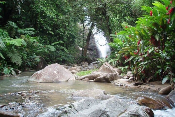 Coral Coast Adventure: Biausevu Waterfall and Natadola Beach Combo photo 6