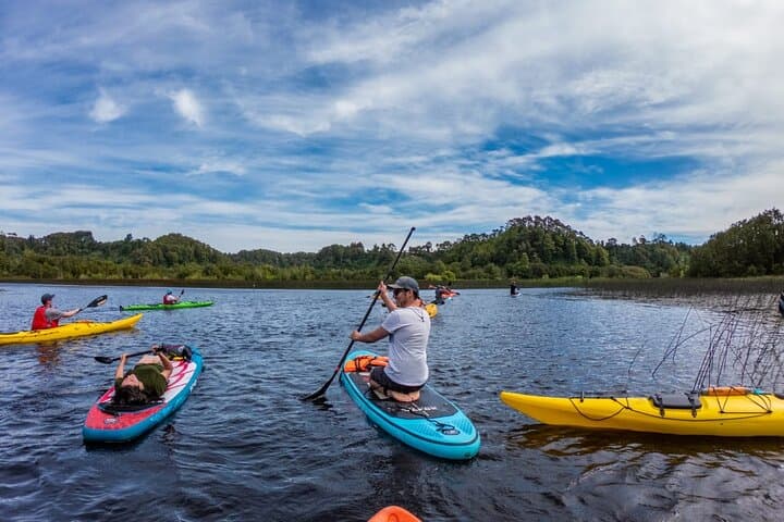 Half-Day SUP & Kayak Tour on Lake Llanquihue — Puerto Varas La Poza photo 1