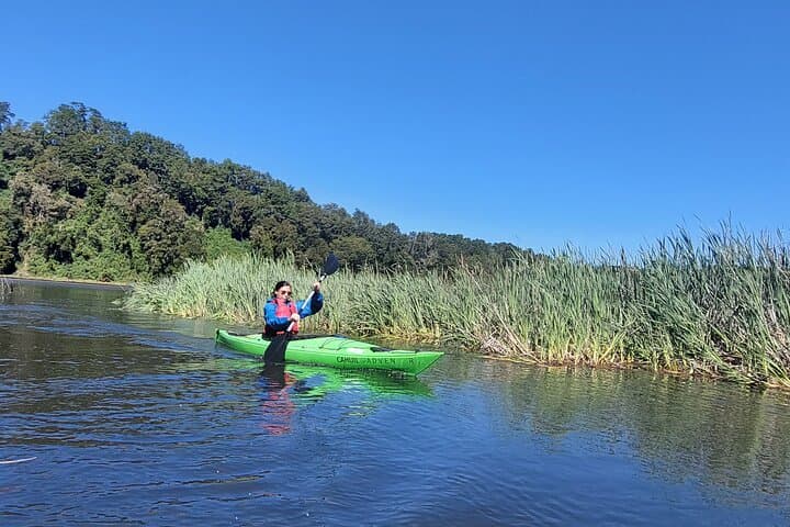 Half-Day SUP & Kayak Tour on Lake Llanquihue — Puerto Varas La Poza photo 4