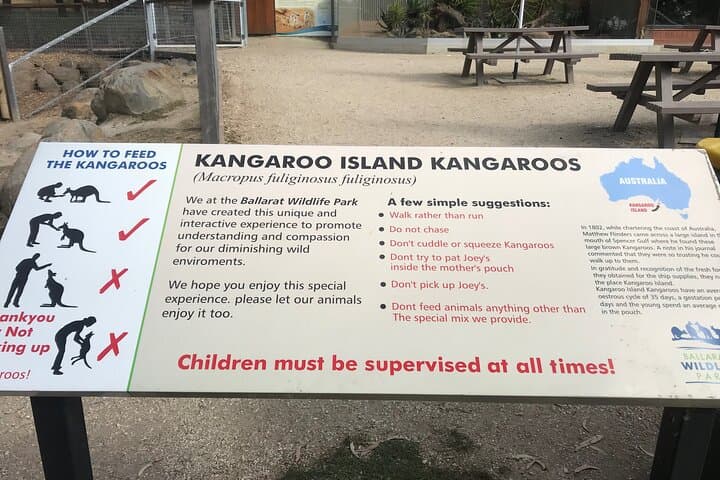 Phillip Island Penguin and Australian Wildlife Private Tour from Melbourne photo 3