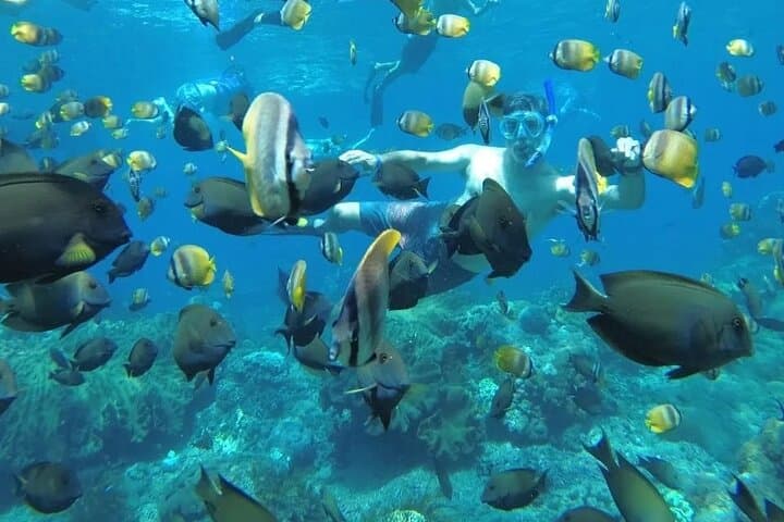 Nusa Penida Manta Bay Snorkel & Kelingking Beach Day Trip — Fast Boat, Mantas & Viewpoints