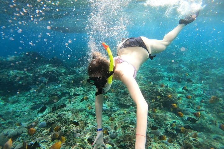 Nusa Penida Manta Bay Snorkel & Kelingking Beach Day Trip — Fast Boat, Mantas & Viewpoints photo 2