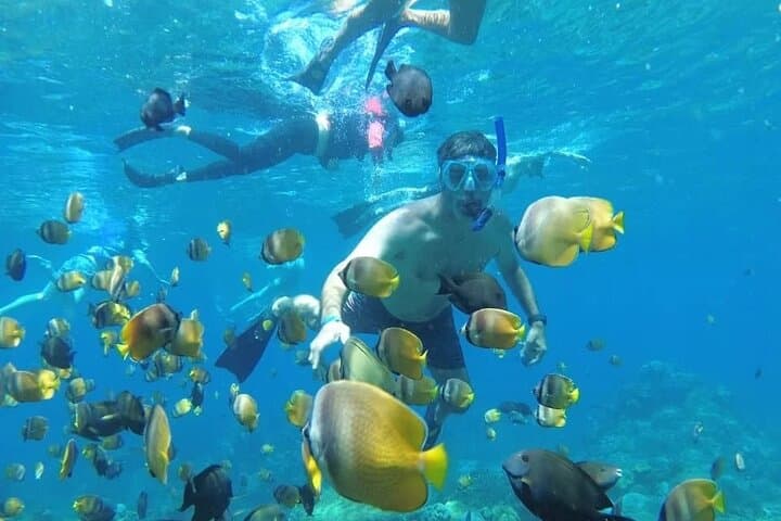 Nusa Penida Manta Bay Snorkel & Kelingking Beach Day Trip — Fast Boat, Mantas & Viewpoints photo 3