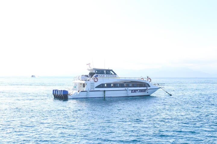 Nusa Penida Manta Bay Snorkel & Kelingking Beach Day Trip — Fast Boat, Mantas & Viewpoints photo 5