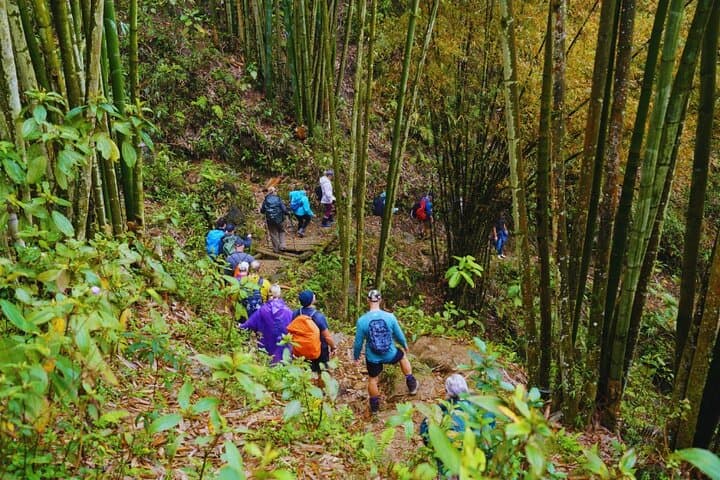 Sapa Day Trek: Y Linh Ho, Lao Chai & Ta Van Rice Terrace Hike photo 2