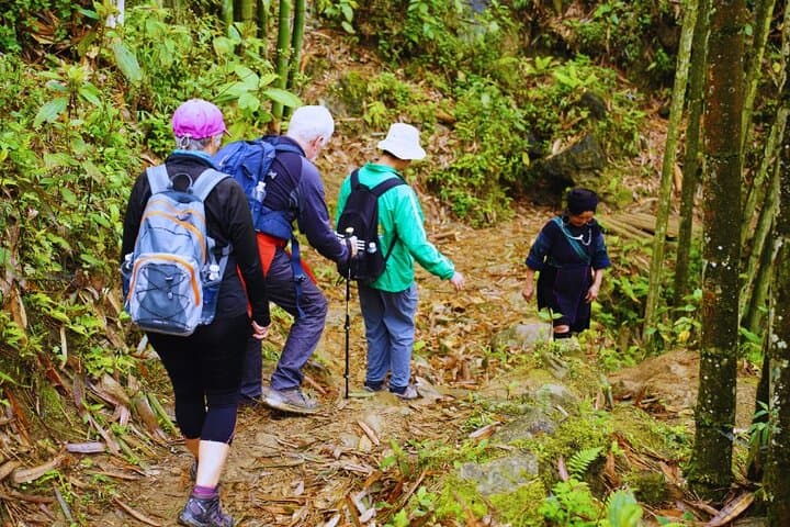 Sapa Homestay Trek: 2-Day Hill-Tribe and Rice-Terrace Experience photo 3