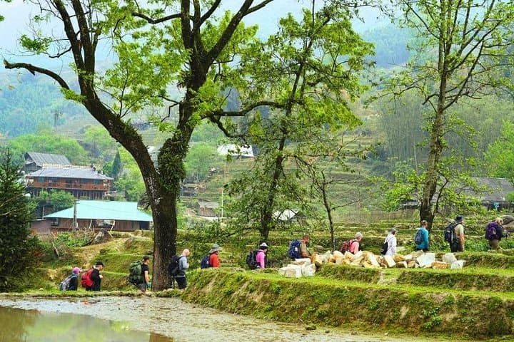 Sapa Adventure: 3-Day Trek Through Muong Hoa Valley and Ethnic Villages photo 4