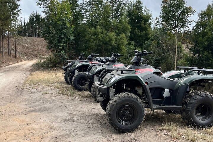Knysna Forest Quad Biking: 2-Hour Guided ATV Adventure photo 6