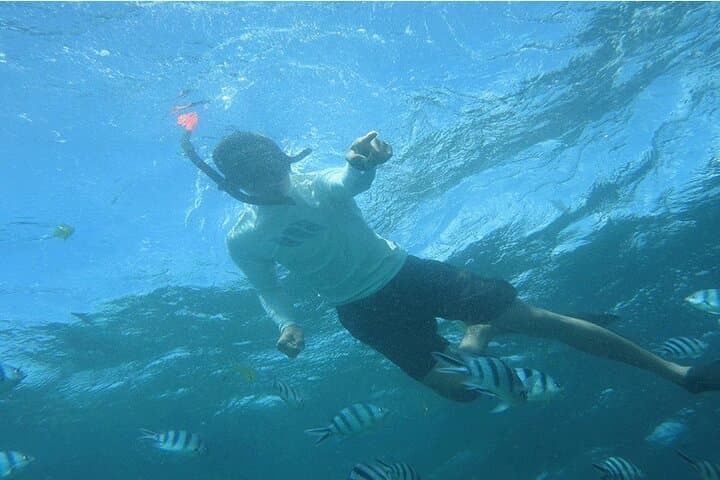 Blue Lagoon Bali Snorkeling: Private Boat to Tanjung Jepun & Bias Tugel photo 4