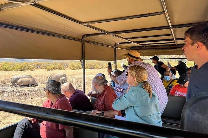 Early Morning Big Five Safari Near Cape Town: Morning Game Drive & Breakfast photo 4