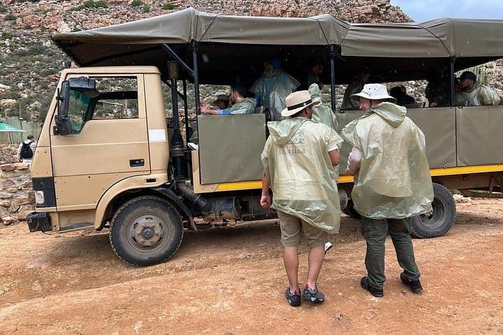 Early Morning Big Five Safari Near Cape Town: Morning Game Drive & Breakfast photo 3
