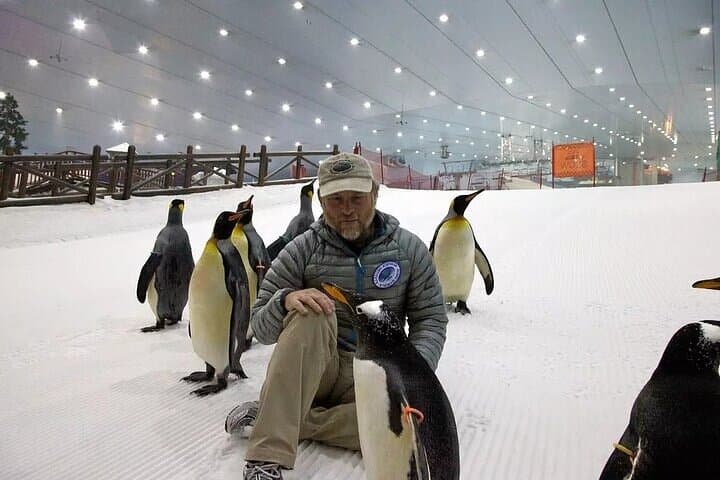Ski Dubai Insider's Guide: Indoor Slopes, Penguins & Snow Park Tips photo 2