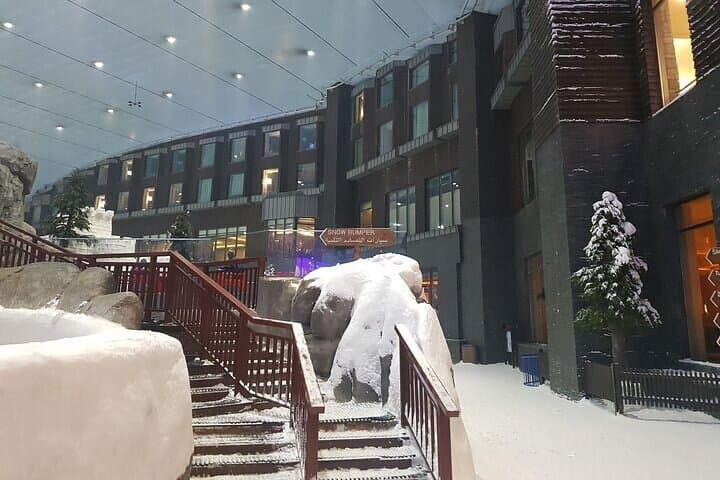 Ski Dubai Insider's Guide: Indoor Slopes, Penguins & Snow Park Tips photo 5