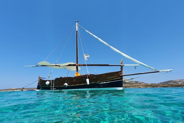 Sailing to Asinara from Stintino: Swim Crystal Coves and Explore a Wild Island photo 2