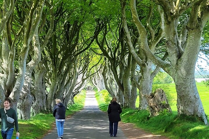 Belfast Private 4-Hour City Tour — Murals, Titanic Museum & Castle Views photo 5