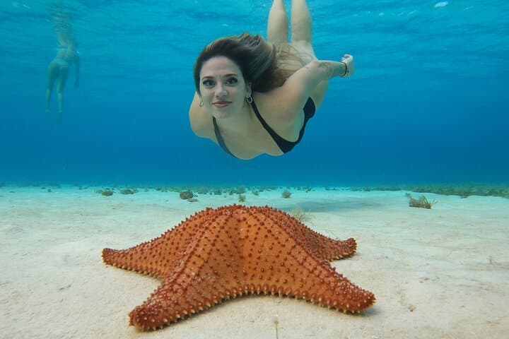 Snorkel El Cielo: Cozumel Sandbar & Reef Day Trip