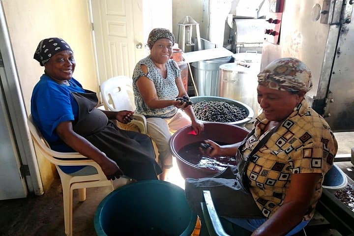 Cocoa, Coffee & Cigar Day Tour from Puerto Plata — Local Markets and Northern Mountains photo 3