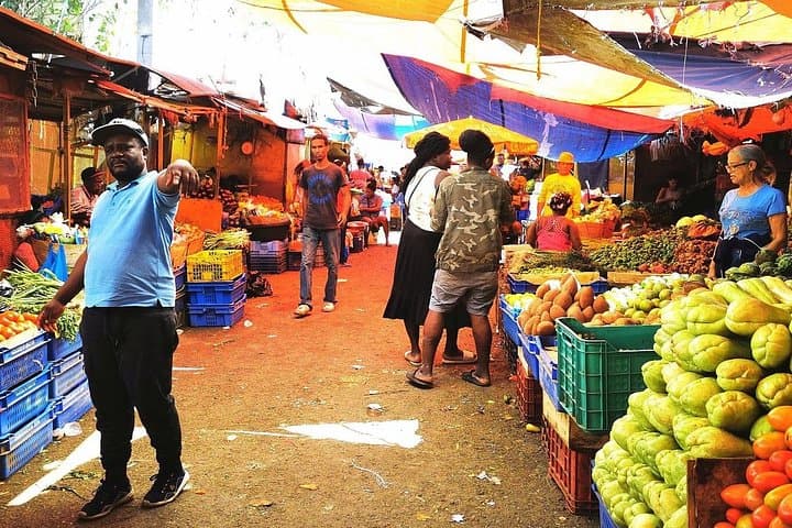 Cocoa, Coffee & Cigar Day Tour from Puerto Plata — Local Markets and Northern Mountains photo 1