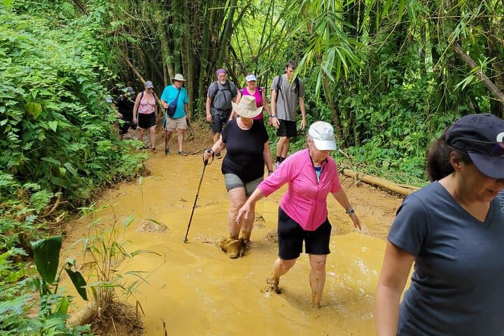 El Yunque Rainforest Waterslides, Cliff Jumps & Rope Swing Adventure photo 5