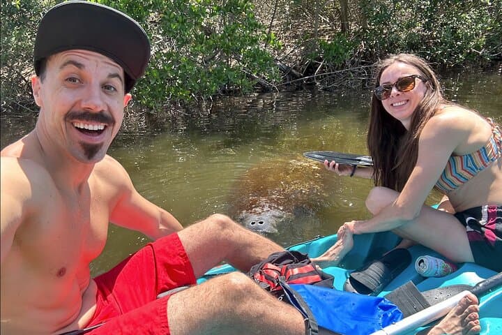 Paddle with Dolphins and Manatees: Merritt Island Nature Kayak Tour photo 2