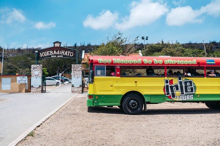 Hato Caves, Turtle Snorkel & Porto Mari Beach Day — Curacao Surf-and-Turf Tour photo 2