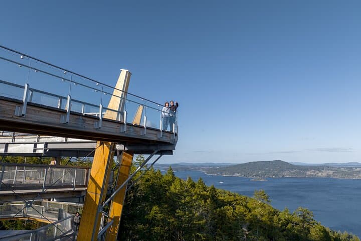 Malahat SkyWalk: 10-Story Spiral Tower & Elevated Treetop Walk on Vancouver Island photo 2