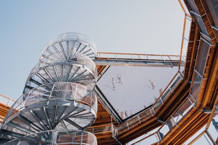 Malahat SkyWalk: 10-Story Spiral Tower & Elevated Treetop Walk on Vancouver Island photo 4