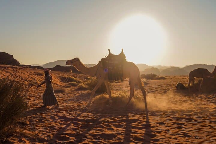 Wadi Rum Camel Safari & Bedouin Overnight — Sunset to Sunrise Desert Experience photo 2