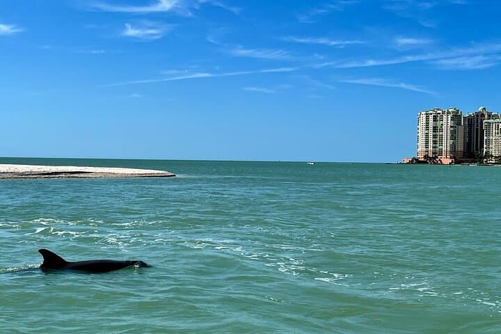 Private Marco Island Dolphin Cruise — 2-Hour Best of 10,000 Islands Tour photo 4