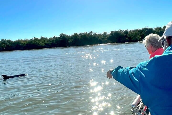 Private Marco Island Dolphin Cruise — 2-Hour Best of 10,000 Islands Tour