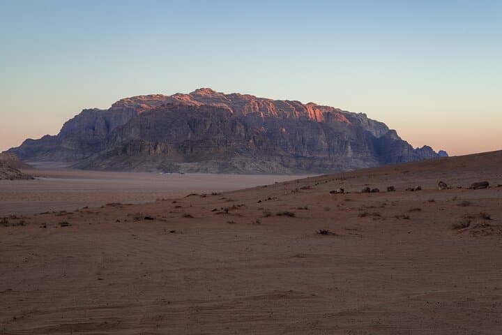 Half-Day Wadi Rum Jeep Tour with Bedouin Camp Meal and Overnight photo 6