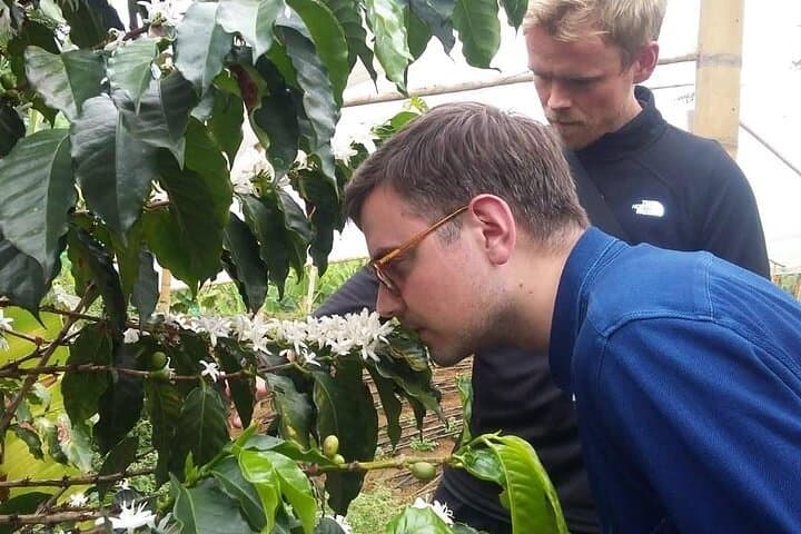 Medellín Day Trip: Guatapé, El Peñol Rock & Coffee Farm Private Tour photo 3