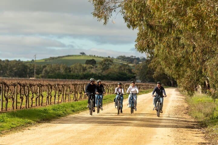 Barossa Valley E-Bike Wine Tour: Yalumba, Cheese & Chocolate