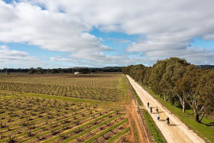 E-Bike Through Hahndorf: Adelaide Hills Wine, Strawberries & Cheese Tour photo 4