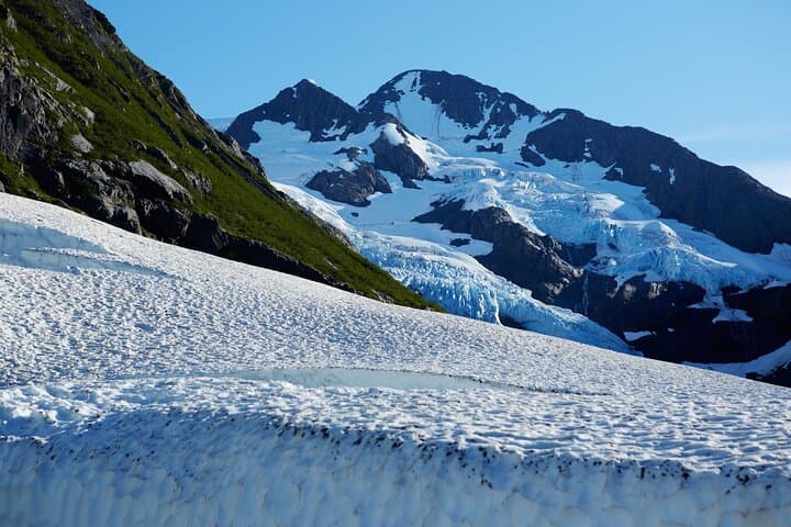 Whittier to Anchorage Wildlife Tour: Glacier Views and Alaskan Wildlife in a Day photo 6