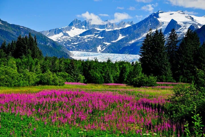 Whittier to Anchorage Wildlife Tour: Glacier Views and Alaskan Wildlife in a Day photo 3
