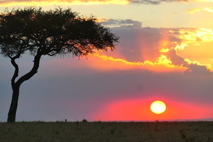 Tsavo East Day Safari from Mombasa or Diani — Big Five Game Drive photo 6