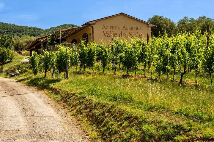 Valle del Sole Winery Tour: 6-Wine Tasting & Olive Oil Experience near Lucca photo 6