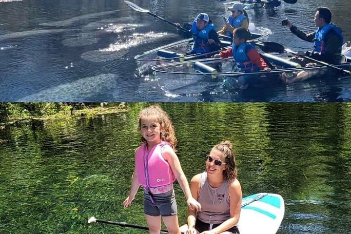 Clear Kayak Tours at Silver Springs: Manatees, Monkeys & Film History photo 4