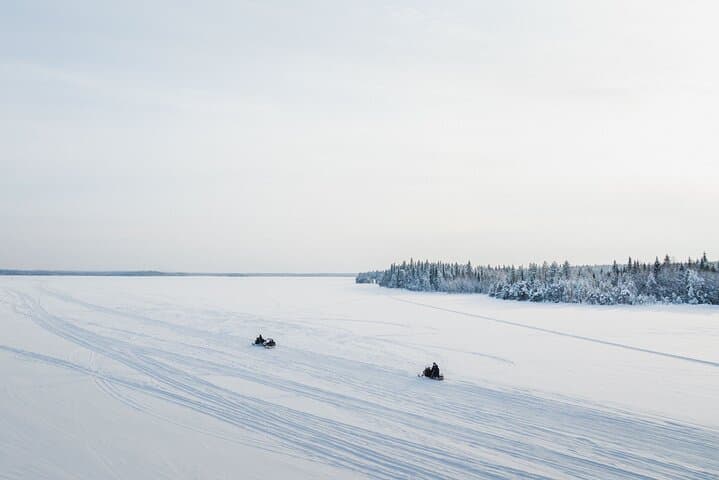 Two-Hour Snowmobile Safari into Lappish Forests from Rovaniemi photo 4