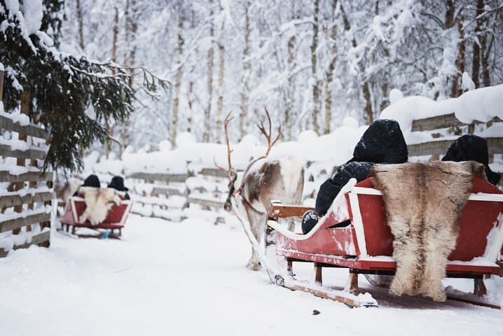 Husky and Reindeer Adventure with Snowmobiling in Arctic Circle Finland photo 4