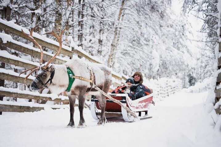 Rovaniemi 2-Day Winter Adventure: Snowmobile, Husky Rides & Ranua Wildlife Park photo 3