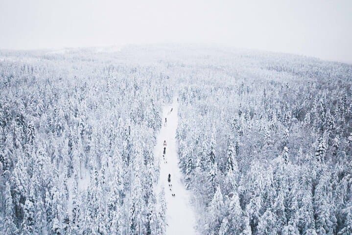 Mush the Arctic: 7km Self-Drive Husky Safari from Rovaniemi photo 6