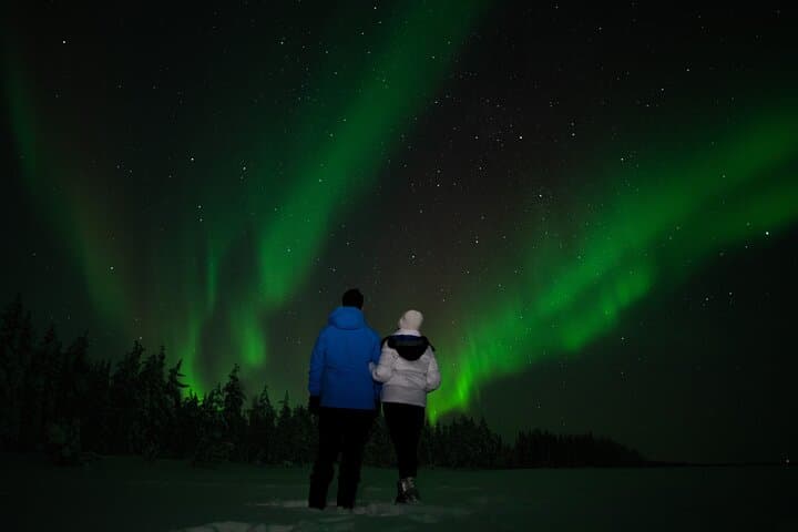 Rovaniemi 2-Day Winter Adventure: Snowmobile, Husky Rides & Ranua Wildlife Park photo 6
