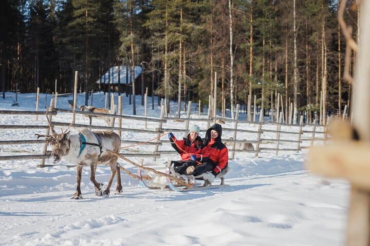 Reindeer Sledge Ride in Rovaniemi — Traditional Lapland Herding Experience photo 6