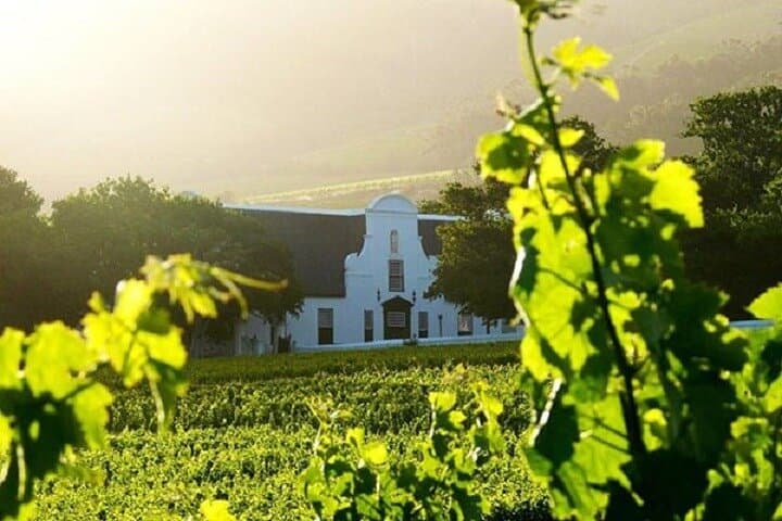 Groot Constantia Private Shore Excursion: Cape Town Small-Group Wine Tour photo 2