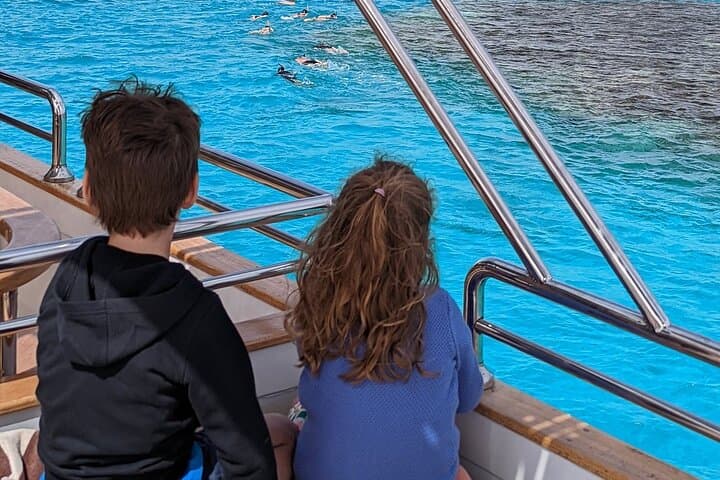 Sataya Reef Dolphin Snorkel — Swim with Spinner Dolphins from Marsa Alam