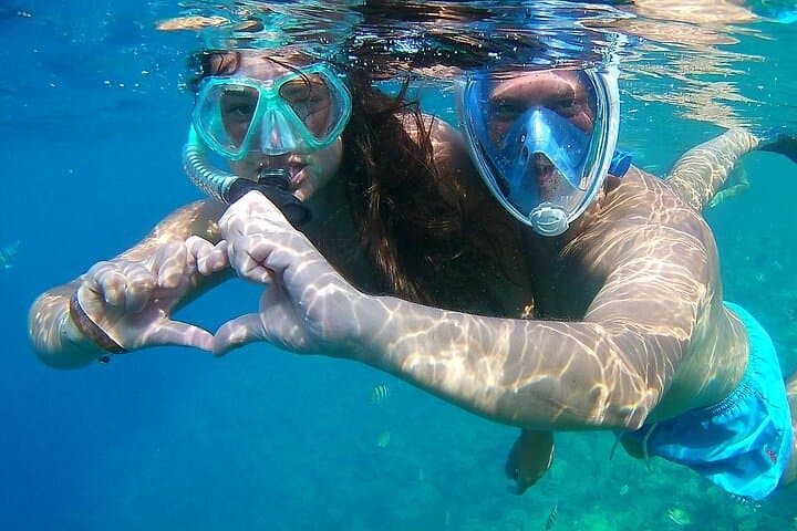 Sataya Reef Dolphin Snorkel — Swim with Spinner Dolphins from Marsa Alam photo 3